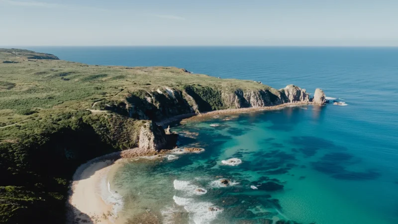 Phillip Island Nature Parks – Wildlife conservation areas(3)