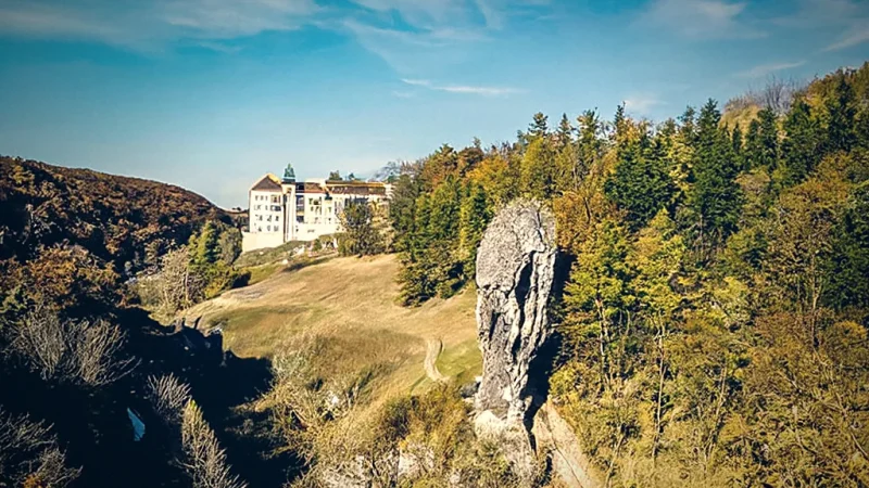 Photography Point(1)