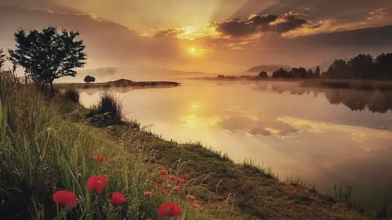 Photography Spots – Nature scenery(9)