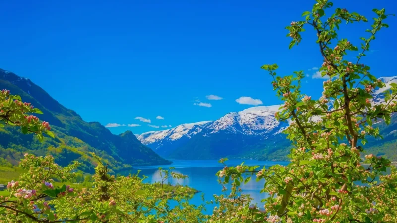 Photography Viewpoints – Iconic Fjord Photo Spots(2)