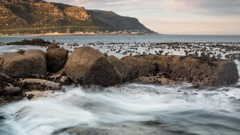 Photography_Spots_тАУ_Wildlife_and_coastal_views_03