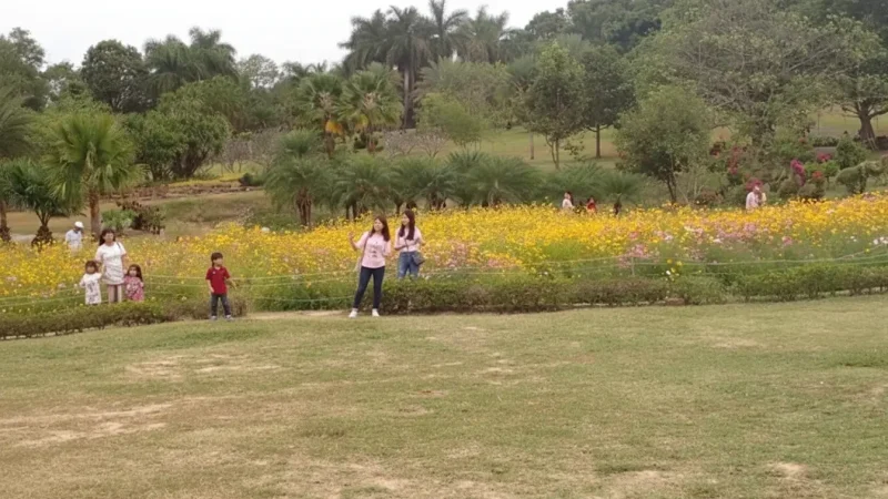 Phu Foi Lom Eco-Park(1)