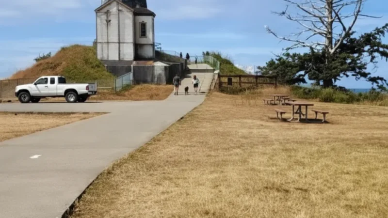 Picnic Ar(1)