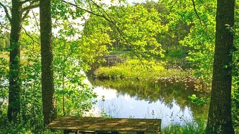 Picnic Areas by Lakes(5)