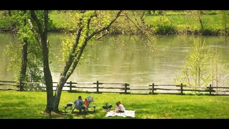 Picnic Areas by the River – Relaxed resting spots(5)