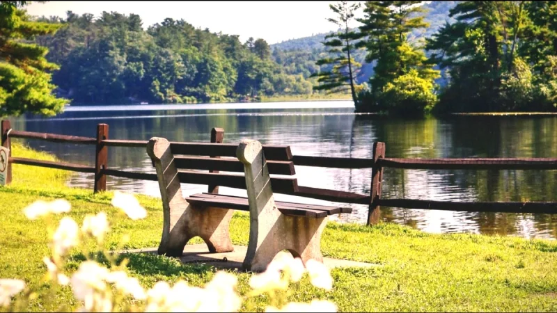 Picnic Areas by the Water – Relaxed resting spots(6)