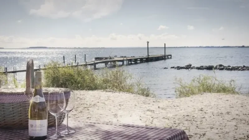 Picnic Areas – Beachside Rest Spots(6)
