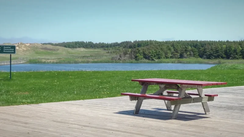 Picnic Areas – Beachside rest spots(3)