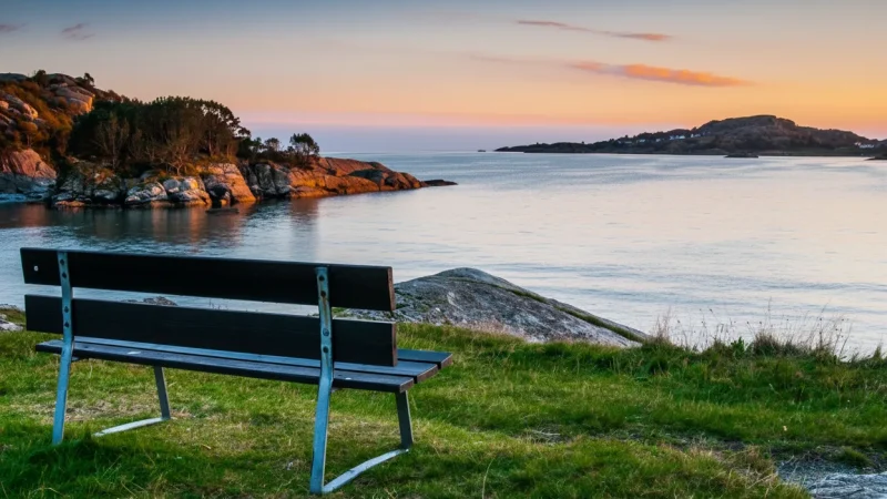 Picnic Areas – Quiet Coastal Rest Spots(5)