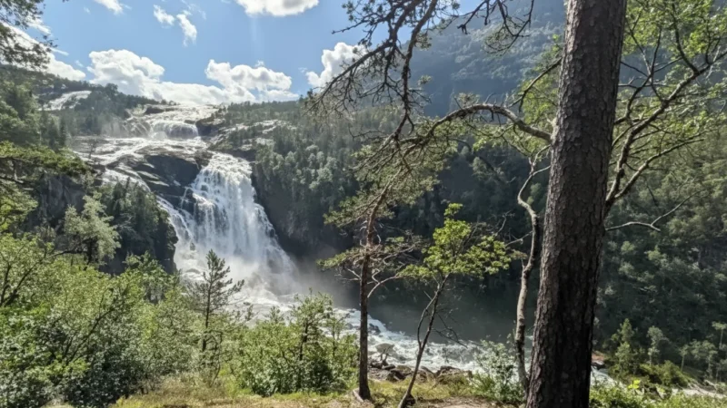 Picnic Areas – Quiet Nature Rest Places(6)