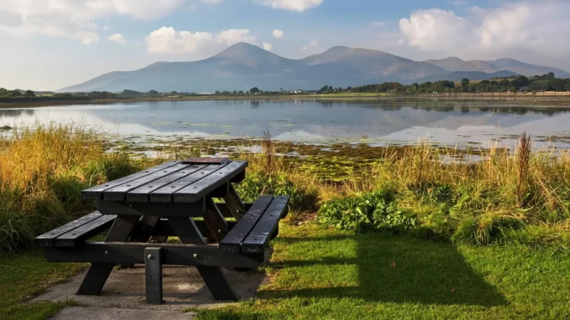 Picnic Areas – Quiet Rest Places(5)