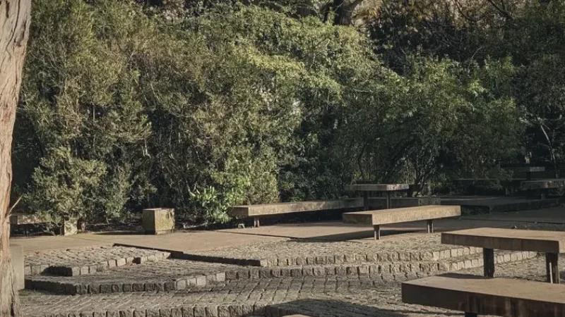 Picnic Areas – Quiet natural resting spots(1)