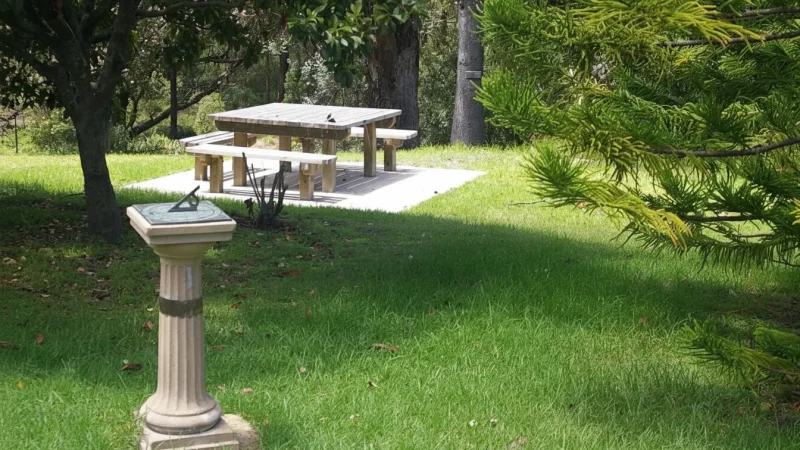 Picnic Areas – Relaxed Green Rest Spots(5)