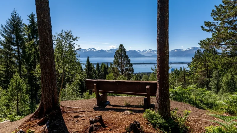 Picnic Areas – Relaxed coastal rest spots(4)