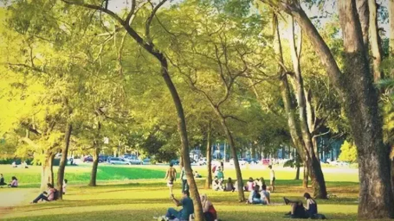 Picnic Areas(3)
