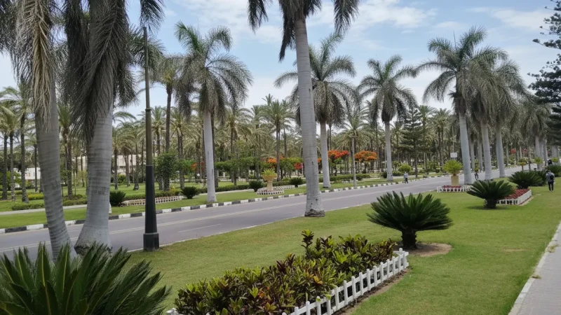 Picnic Lawn Areas – Relaxation Spaces(5)