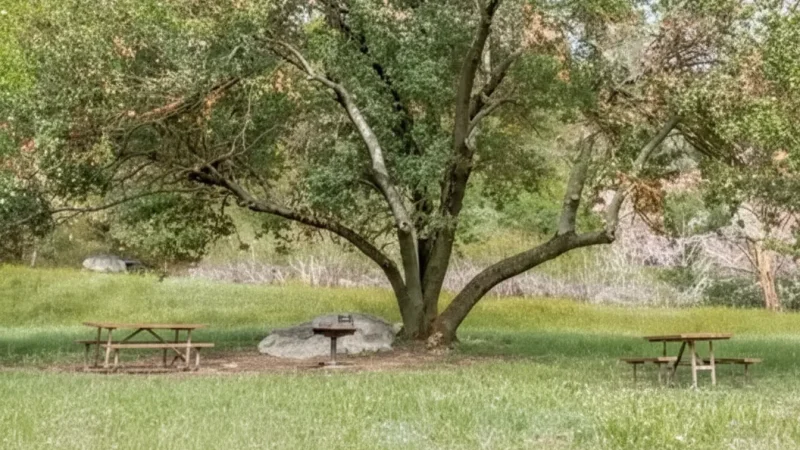 Picnic Rest Spots(1)