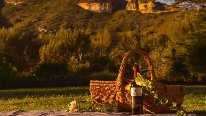 Picnic_Areas_тАУ_Quiet_outdoor_spaces_01