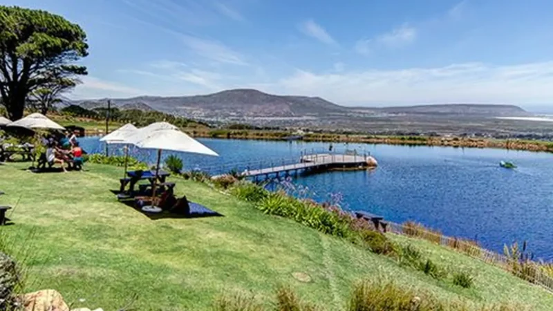 Picnic_Areas_тАУ_Relaxed_resting_spots_04