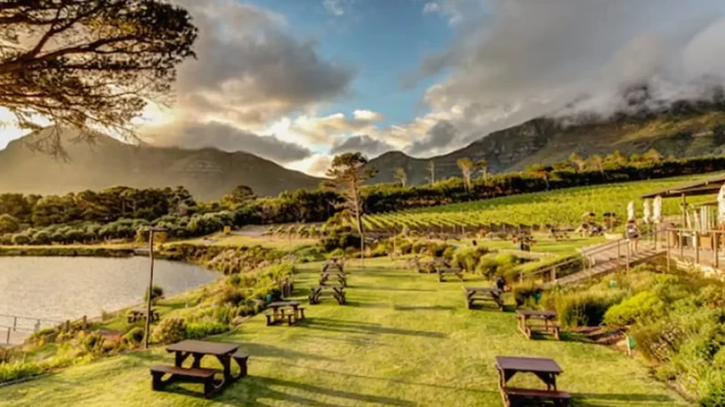Picnic_Areas_тАУ_Seaside_relaxation_spots_03