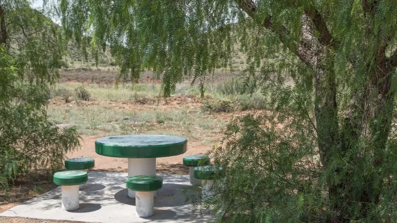 Picnic_Areas_тАУ_Shaded_rest_spots_05