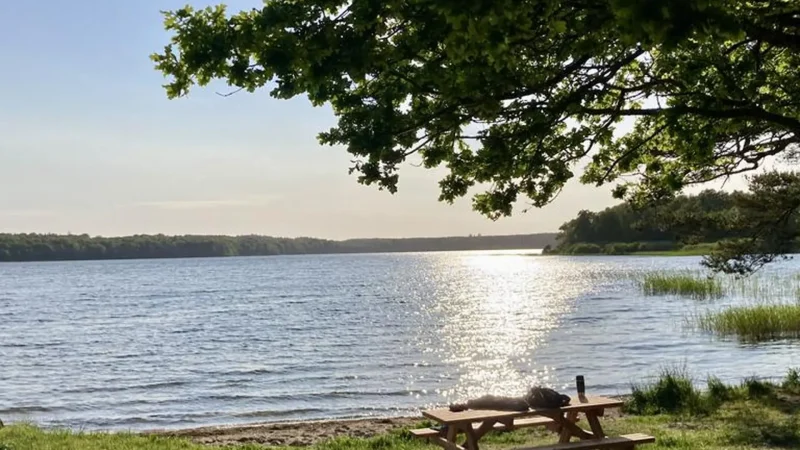 Picnic_Areas_–_Lakeside_rest_spots__05