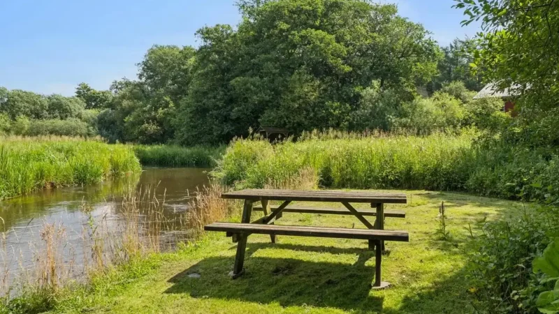 Picnic_Areas_–_Riverside_rest_spots__05