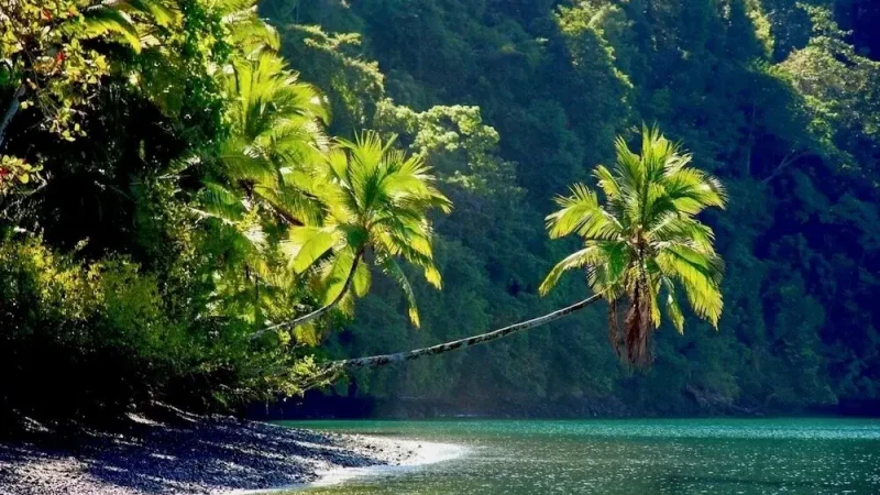 Piedras Blancas National Park4