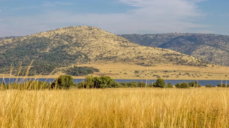 Pilanesberg_National_Park_тАУ_Big_Five_safari_destination_03