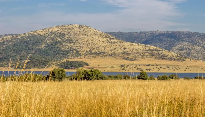 Pilanesberg_National_Park_тАУ_Big_Five_safari_destination_03