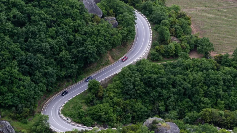 Pine_Forest_Roads_04