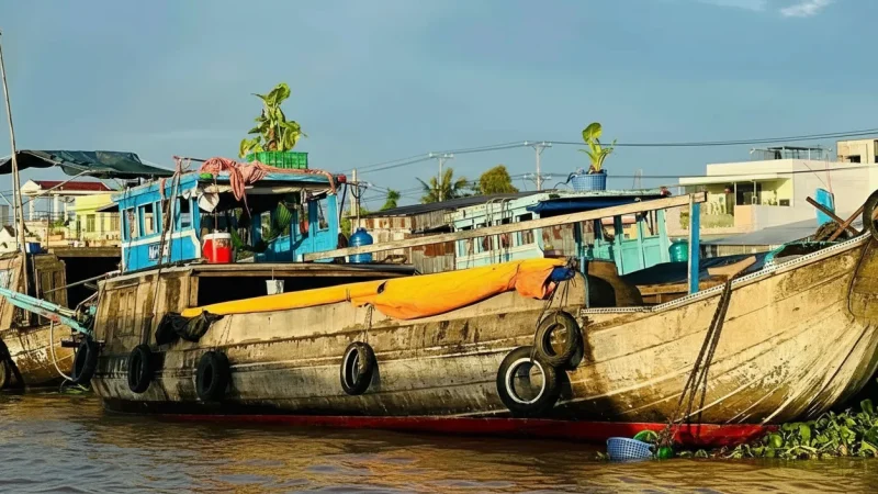 Pineapple Boat Vendors – Fresh fruit boats(4)