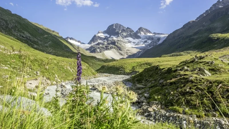 Piz Buin – Glacier Viewpoints(3)