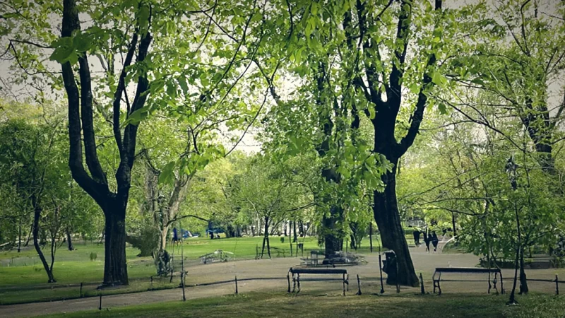 Planty Park(5)