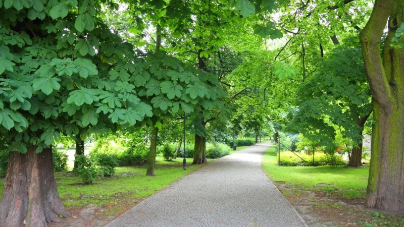 Planty_Park_03
