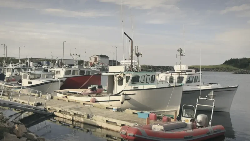 Pleasant Bay – Whale Watching Area(4)