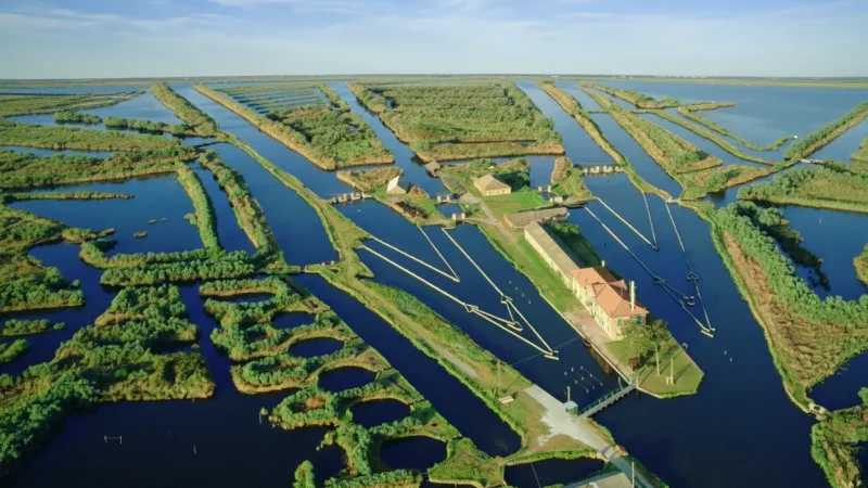 Po Delta Regional Park(2)