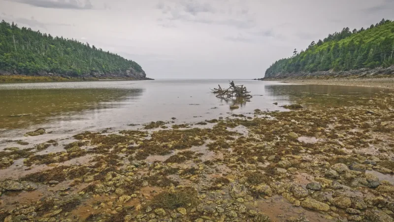 Point Wolfe Beach – Pebble beach area(1)