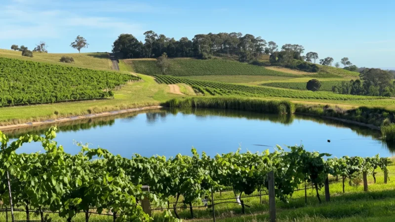 Pokolbin – Central wine village(6)