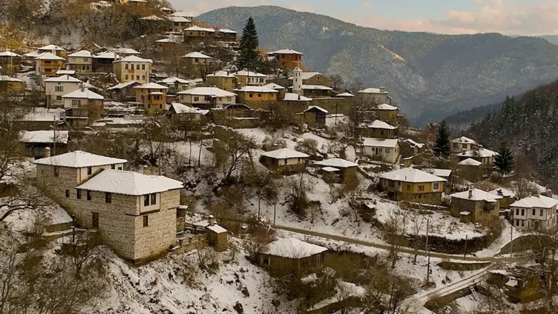 Polyantho_Village_02