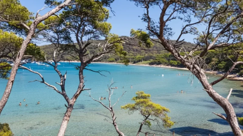 Porquerolles Island – Beaches and nature trails(2)