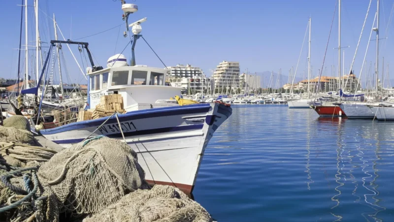 Port-Vendres – Fishing port(2)