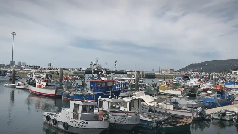 Port of Setúbal – Harbor(5)