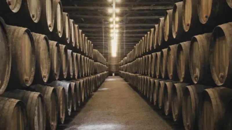 Porto Wine Museum – Wine heritage(2)