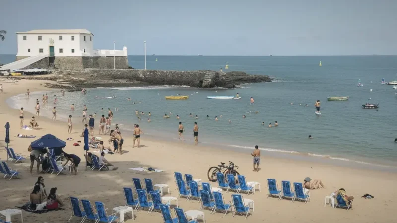 Porto da Barra Beach – Calm Beach(1)