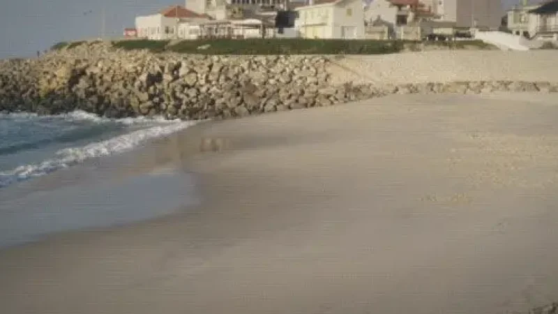 Praia de Cortegaça – Long sandy beach backed by forest(3)