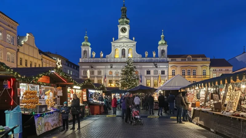 Přemysl Otakar II Square – Large historic town square(3)