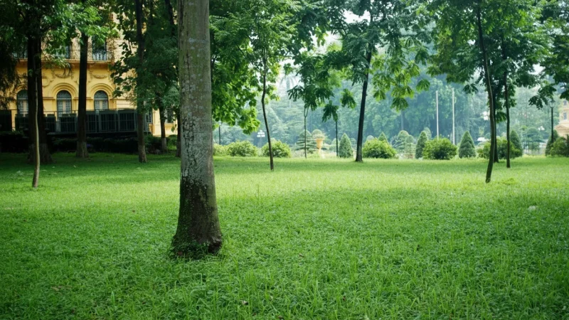 Presidential Palace (Grounds)(6)