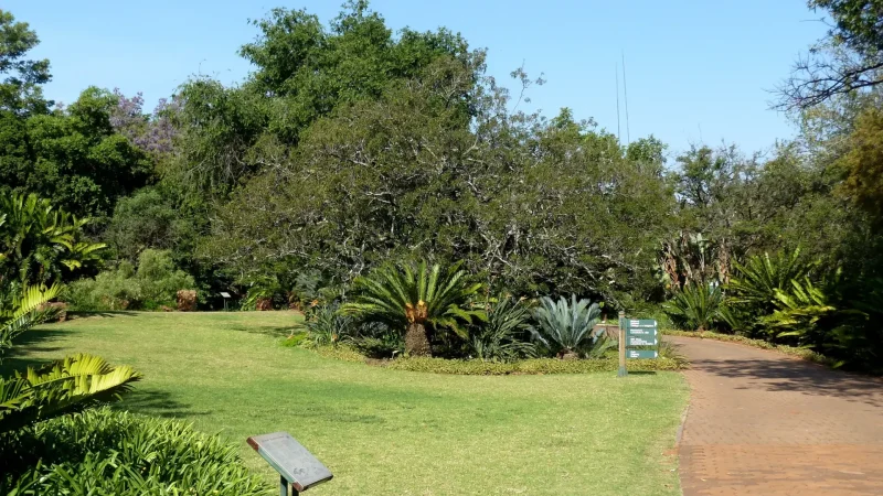 Pretoria_National_Botanical_Garden_тАУ_Indigenous_plant_collections_03