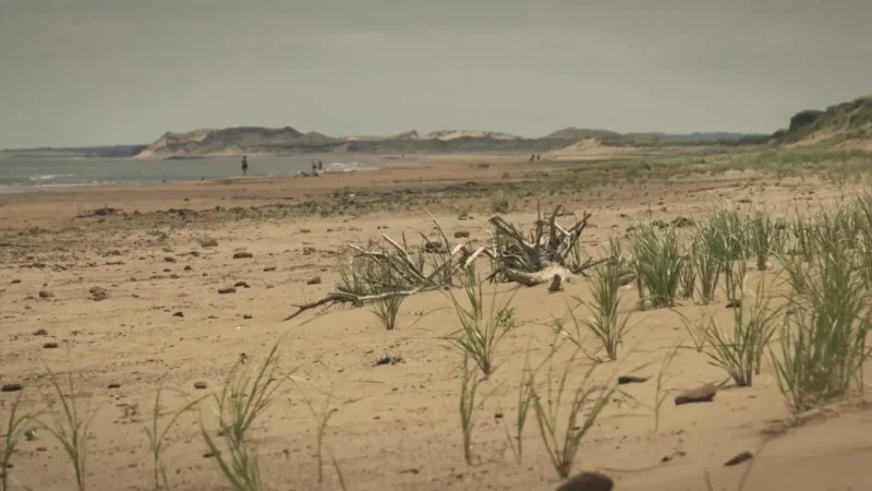 Prince Edward Island National Park – Coastal nature area(3)